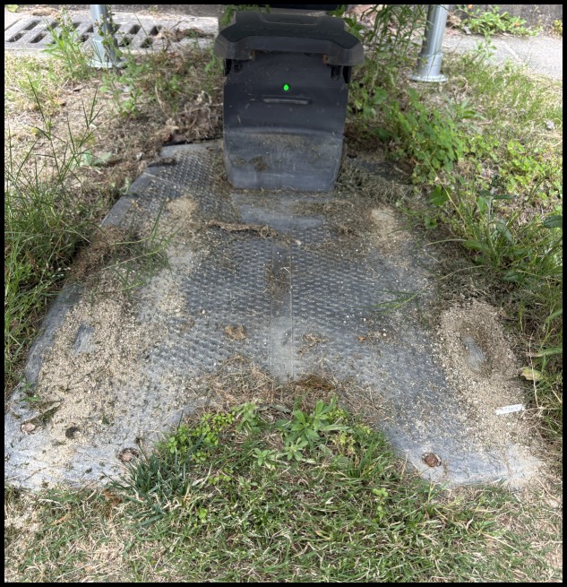 ドックの周りの掃除