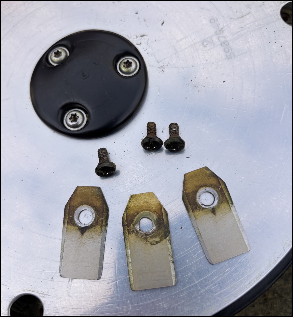 外したブレードとネジ